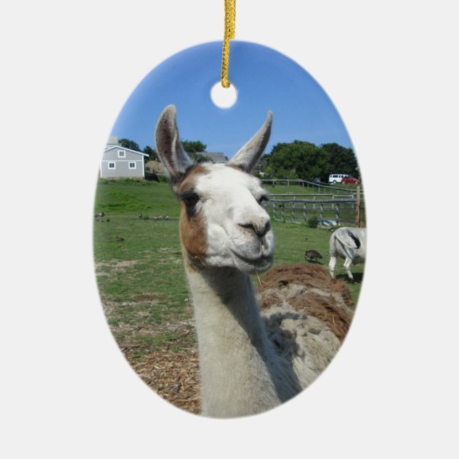 Llama Julgransprydnad Keramik (Framsidan)