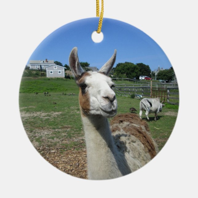 Llama Julgransprydnad Keramik (Framsidan)