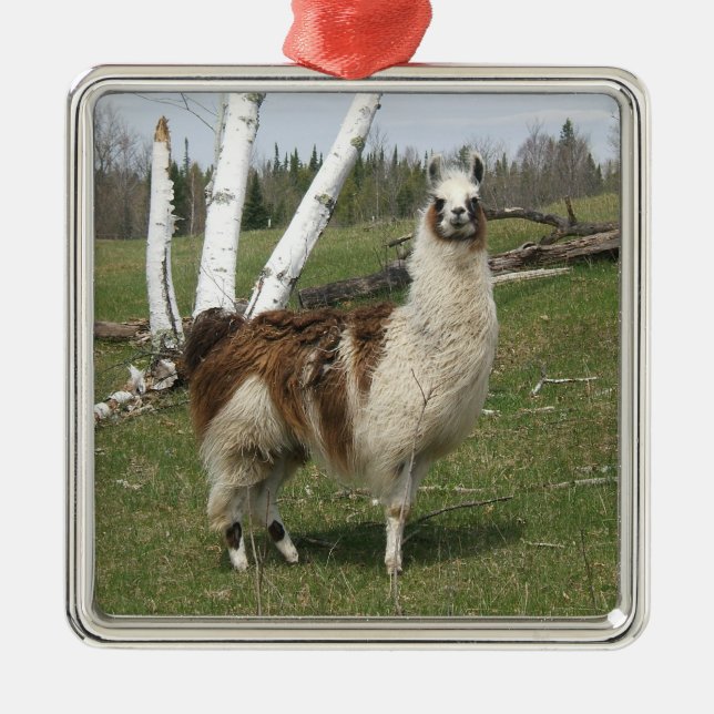 LLAMA JULGRANSPRYDNAD METALL (Framsidan)