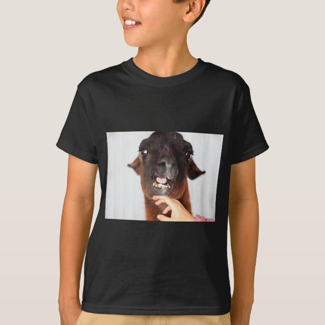 Llama Kärlek T Shirt (Framsida)