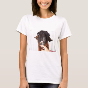 Llama Kärlek T-shirt