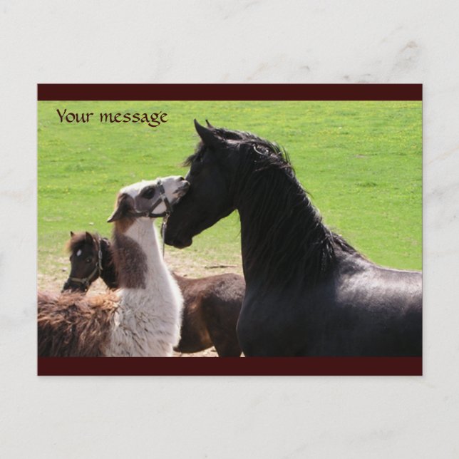 Llama kiss Postcards Vykort (Framsida)