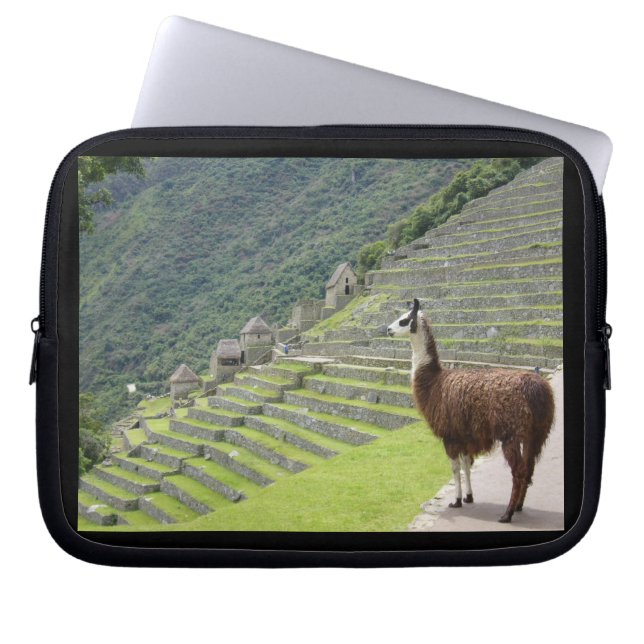 llama laptop fodral (Framsidan)