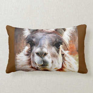 Llama Lumbarkudde