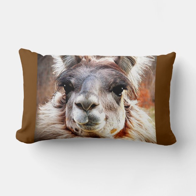 Llama Lumbarkudde (Framsida)