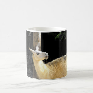 Llama matande kaffemugg