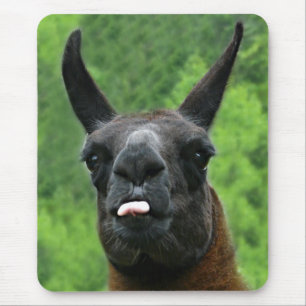 Llama med inställningen - klibba ut tungafotoet musmatta