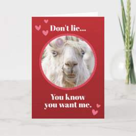Llama med ludd och valsar Valentines day Helgkort