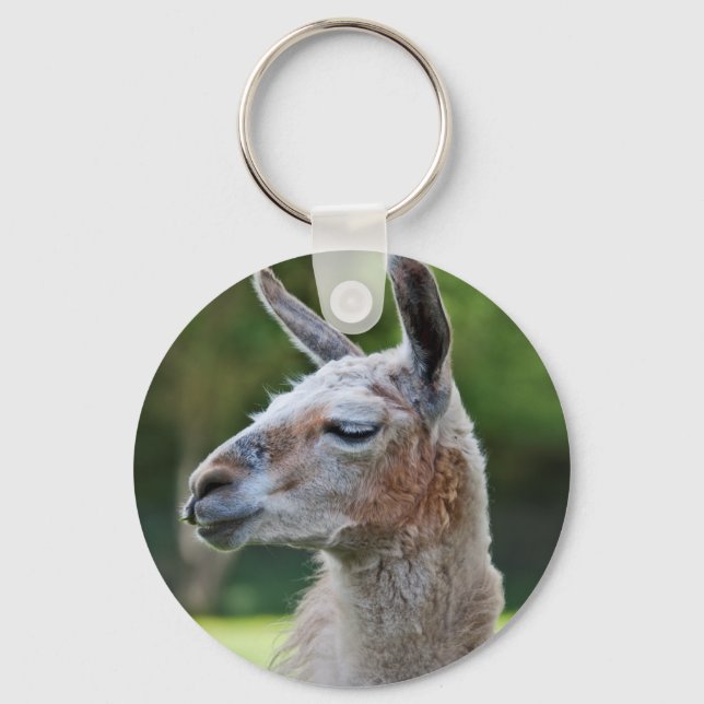 Llama-nyckelring Nyckelring (Framsida)