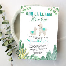 Llama och cactus boydusch