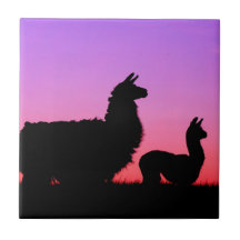 Llama- och criasilhouette