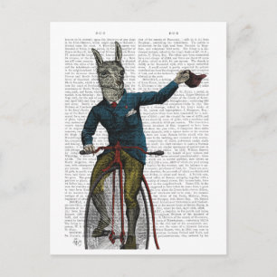 Llama på Bike Vykort