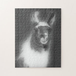 Llama på svarta och vita djur pussel