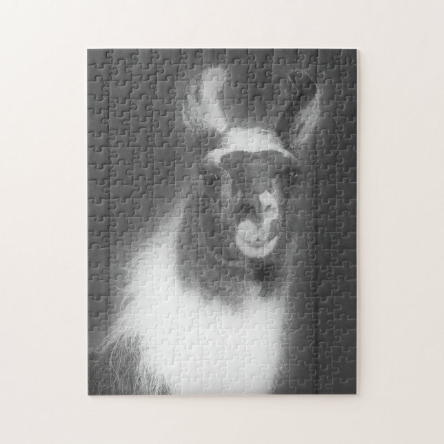 Llama på svarta och vita djur pussel (Vertikal)