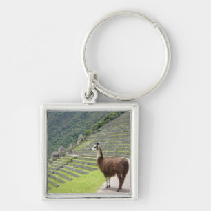 llama peru fyrkantig silverfärgad nyckelring