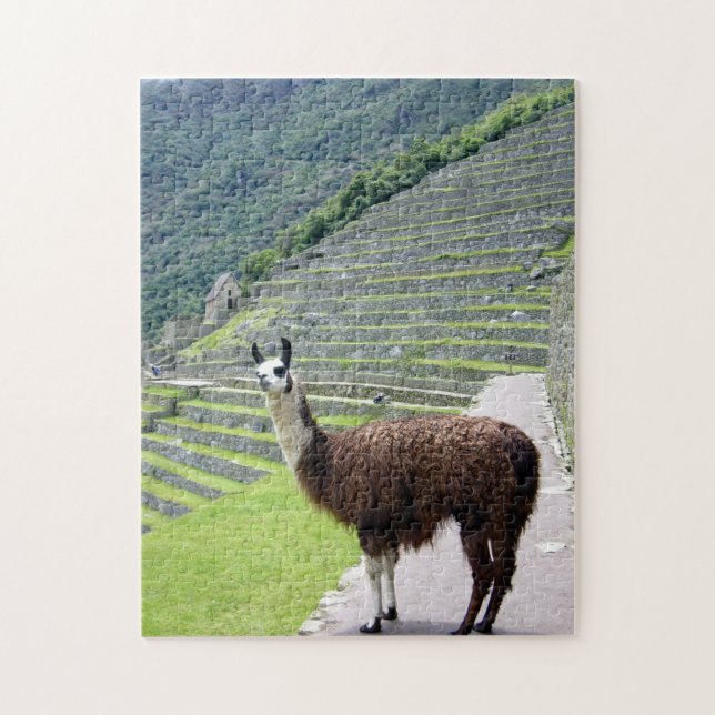 llama peru pussel (Vertikal)