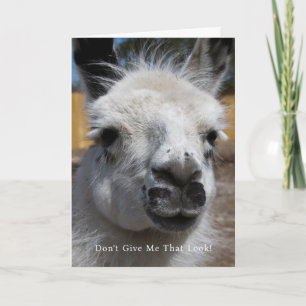 Llama Photo Ge inte mig som ser Hälsning Kort