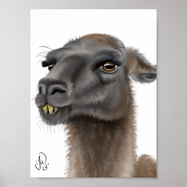Llama Poster (Framsidan)