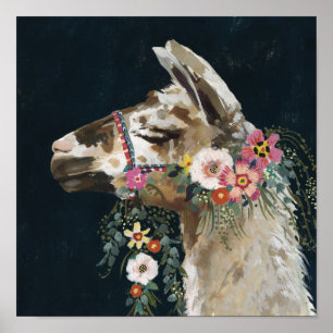 Llama Poster