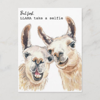 Llama Puns vycard - Llama tar ett selfie Vykort