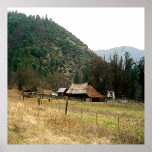 Llama Ranch...... Poster
