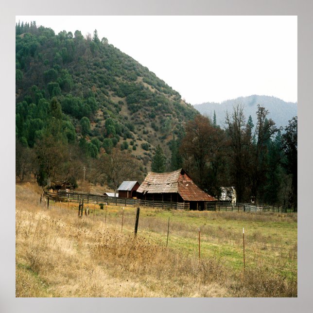 Llama Ranch...... Poster (Framsidan)