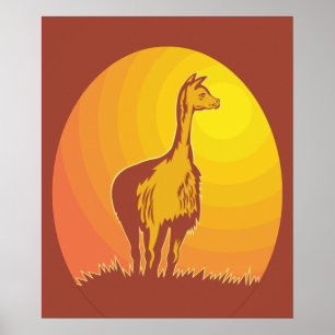 Llama Retro Solnedgång Poster