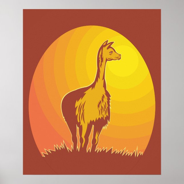 Llama Retro Solnedgång  Poster (Framsidan)