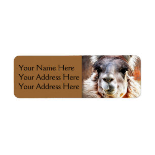 Llama Returadress Etikett