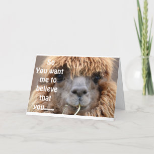 LLAMA SÄGER INGET SÄTT ATT DU ÄR *65* BIRTHDAY HUM KORT