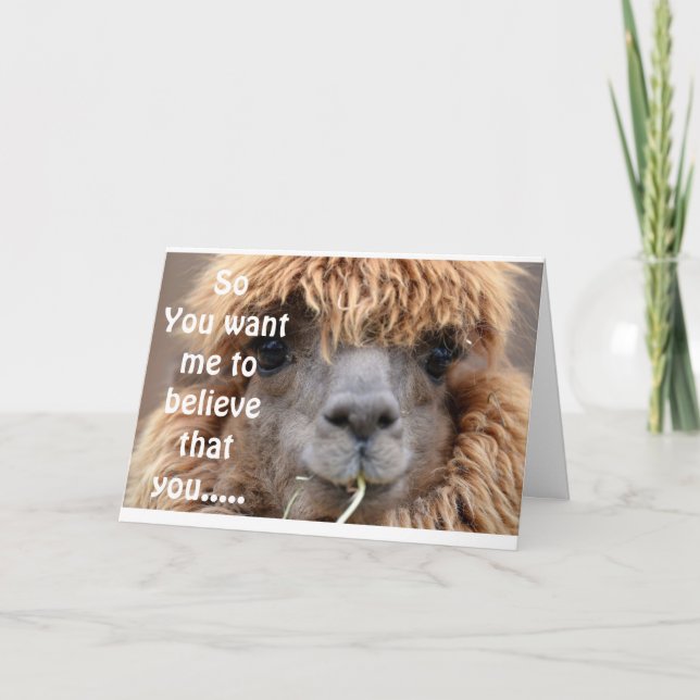 LLAMA SÄGER INGET SÄTT ATT DU ÄR *65* BIRTHDAY HUM KORT (Framsida)