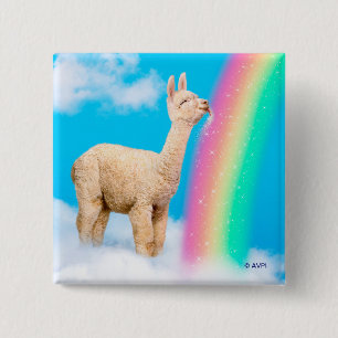 Llama Slickande regnbåge Knapp