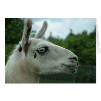 Llama Smiling Hälsningskort