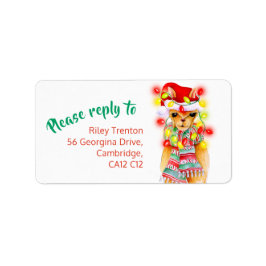 Llama stollig, svar på färgschemat fraktsedel