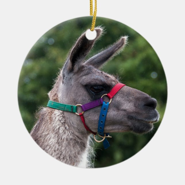 Llama Superiority Julgransprydnad Keramik (Framsidan)