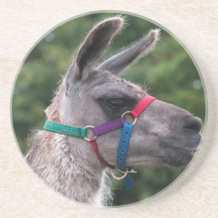 Llama Superiority Underlägg
