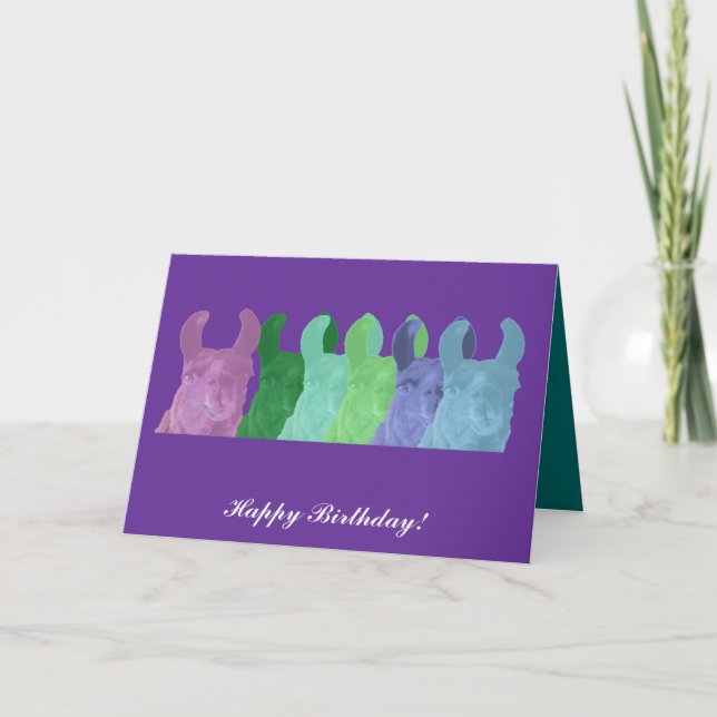 Llama Sweet Pea: Den Visa Matriarken Lama Kort (Framsida)