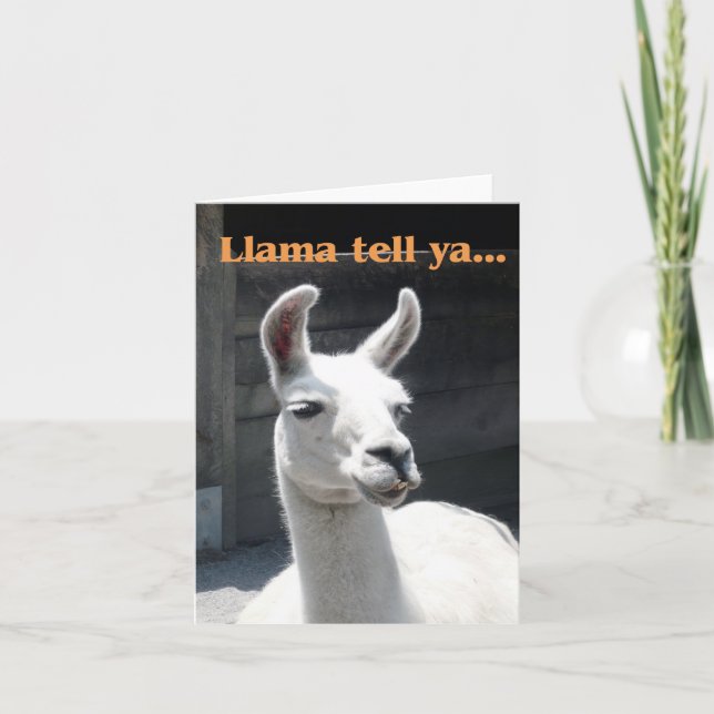 "Llama Tell Ya" Lammakort med leende lama Kort (Framsida)