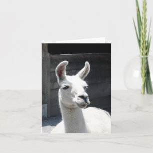 Llama Tomt anteckningskort för leende