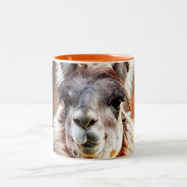 Llama Två-Tonad Mugg