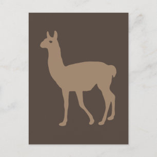 Llama Vykort