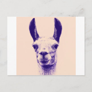 Llama Vykort