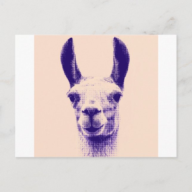 Llama Vykort (Framsida)