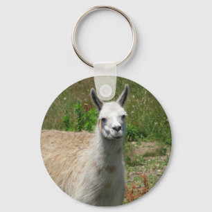 Llamaen fotograferar nyckelring