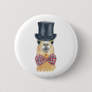 Llamaen knäppas knapp