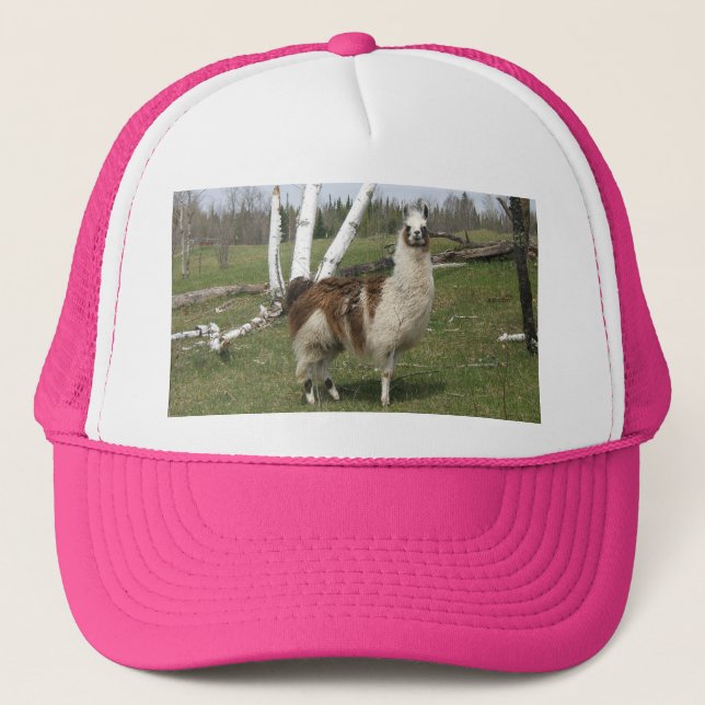 Llamahatt Keps (Framsida)