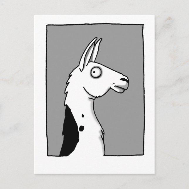 LlamaLlama Vykort (Framsida)