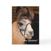 LlamaLlove valentin kort för dag