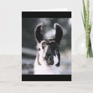Llamaöron Kort