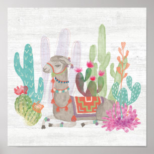 Llamas I Poster